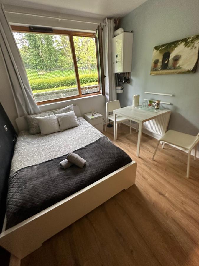 Spacious Room With Relaxing View دبلن المظهر الخارجي الصورة