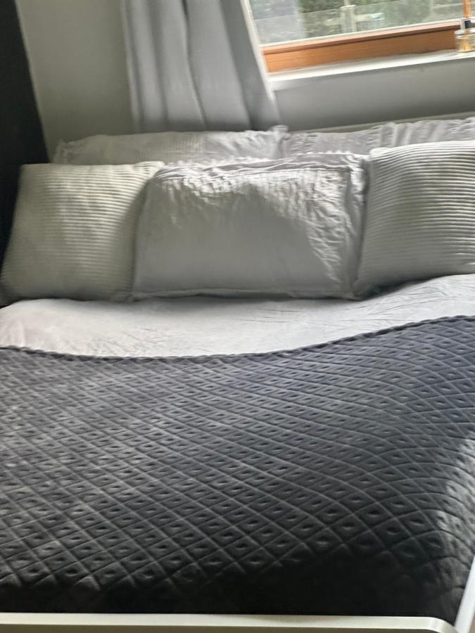 Spacious Room With Relaxing View دبلن المظهر الخارجي الصورة